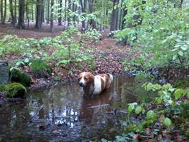 Zwischen den Grenzsteinen