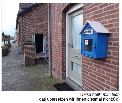mini-bieb Minibibliothek